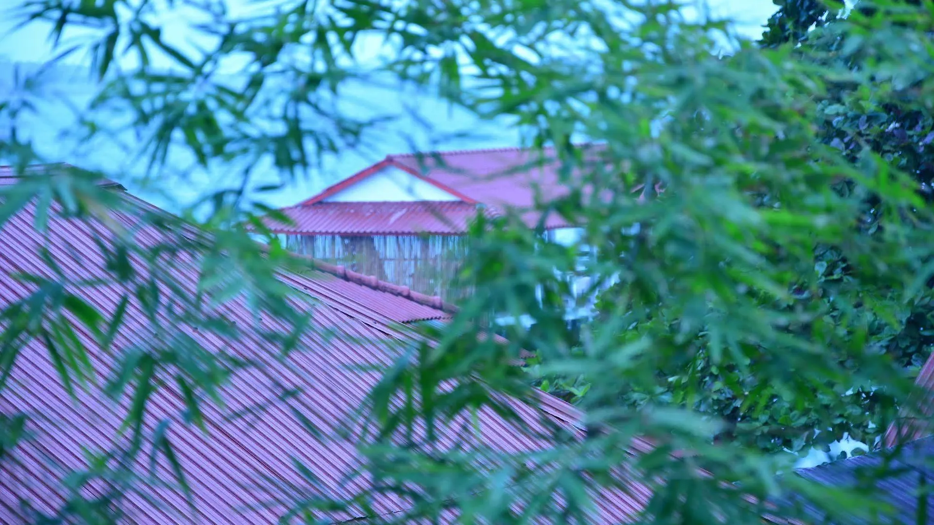 Tranquility Bungalows Bar & Restaurant 시아누크빌 2*,  캄보디아